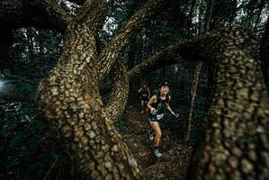 BIB: 
                            <button type="button" onclick="openModal(25699127)" class="btn btn-primary btn-sm float-right btn-popup" data-toggle="modal" data-target=".modal-high-quality">
                        <i class="fas fa-shopping-cart"></i> Add to Cart
                    </button>
                                            <button type="button" onclick="isThisMe(25699127, true)" class="btn btn-success btn-sm float-right btn-popup btn-isme hidden" data-toggle="tooltip" data-placement="bottom" title="นี่คือรูปของคุณใช่ไหม คลิกที่นี่เพื่อเอาเข้าอัลบั้ม">
                        <i class="fas fa-plus"></i> Add to album
                    </button>
                    <button type="button" onclick="isThisMe(25699127, false)" class="btn btn-warning btn-sm float-right btn-popup btn-isnotme hidden">
                        <i class="fas fa-ban"></i> Remove from album
                    </button>